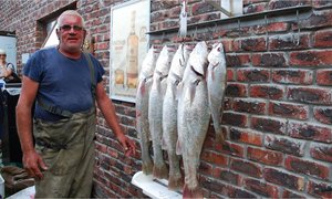 Goeie vangstes vir Pearly Beach